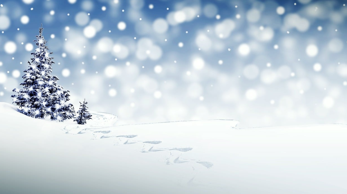 Wir w�nschen Euch eine friedliche und gesegnete Weihnachtszeit